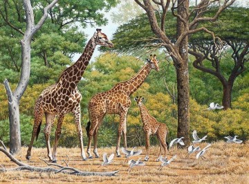 Cerf œuvres - troupeau de girafe et les oiseaux